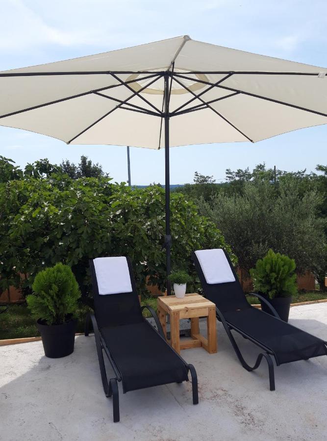 Casa Nora Adriatica * Vilanija